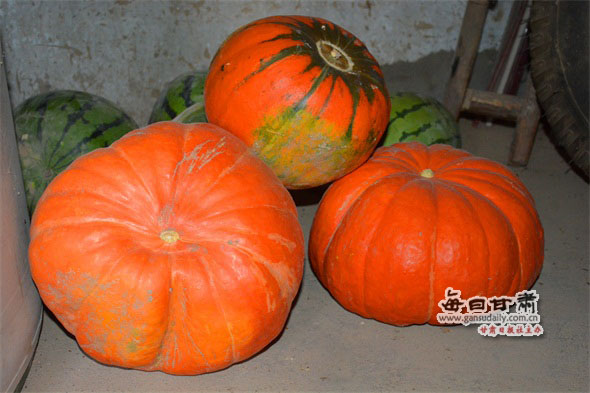 【網(wǎng)絡(luò)媒體走轉(zhuǎn)改】