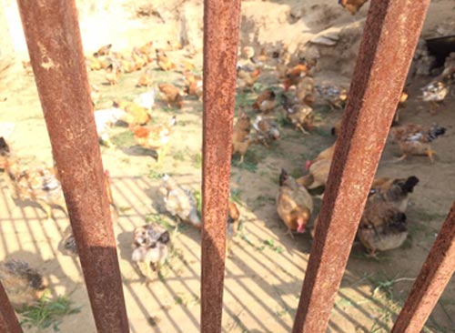 【網絡媒體走轉改】精準扶貧新政策 摘掉貧困“舊帽子”