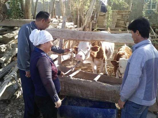 夯實扶貧地基,且末縣工作組精準扶貧“回頭看”