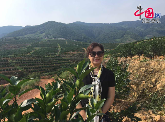 向春玲：云南如何破解習近平“扶貧三問”