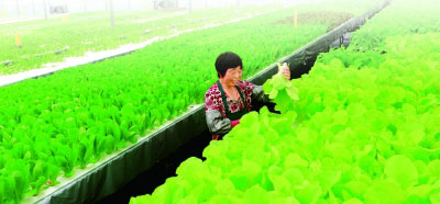 讓黨的十九大精神在基層落地生根