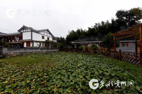 【領(lǐng)航新征程】花繁葉茂說“豐年” 中外青年學(xué)者點(diǎn)贊精準(zhǔn)脫貧“中國(guó)方案”