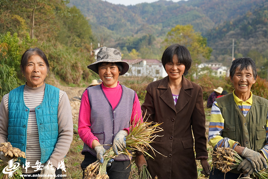 笑一笑 拍個照 俺們不再是貧困戶!——金寨縣迎河村的22張燦爛笑臉