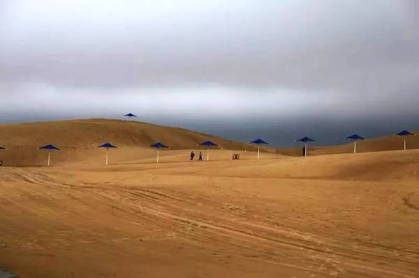 聚焦|大漠變綠洲,庫布其走出一條綠色的旅游產業鏈