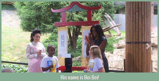 中美第一夫人共看熊貓!當中國牡丹遇到美國玫瑰